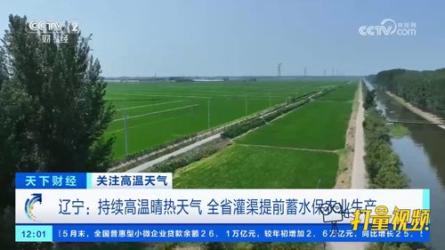 辽宁 持续高温晴热天气,全省灌渠提前蓄水保农业生产
