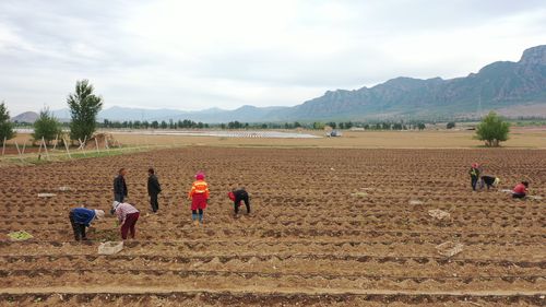 河北张家口蔚县烟区 烟叶生产实现精准节水灌溉