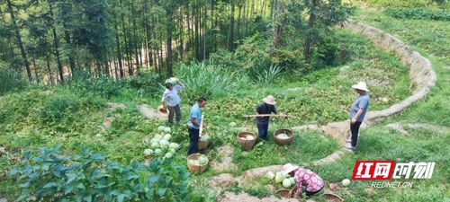 省生态环境厅入驻后,资兴市兰洞村灾后重建情况如何