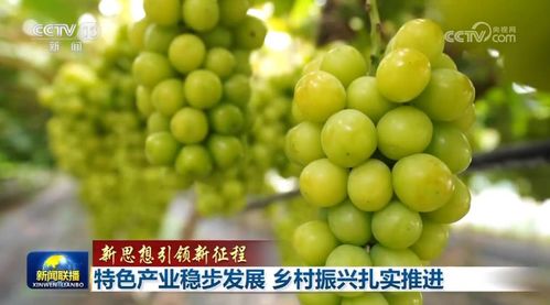 联播观察 2023年,我们一起这样走过