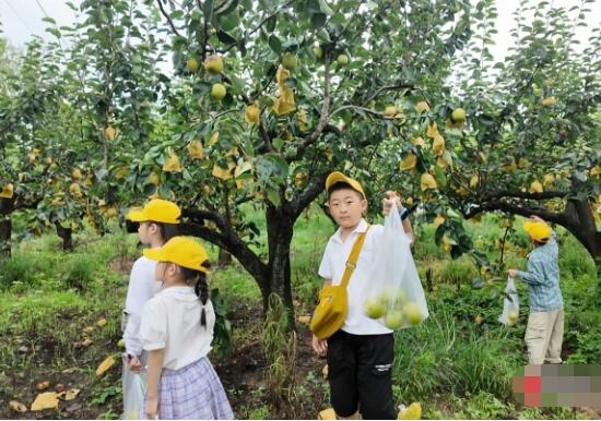 看稻米生产检测农产品 暑期科普研学乐趣多