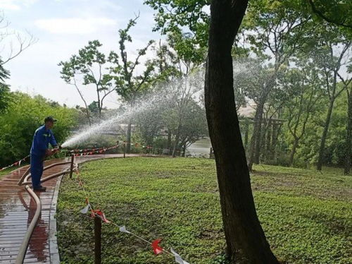 补植增绿 防治害虫 他们努力 绘制 宝山 秋景图